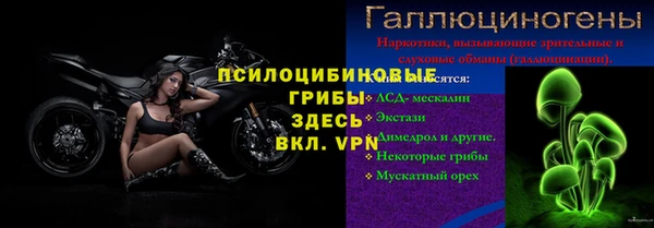 ешки Алзамай