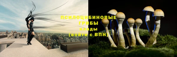 ешки Алзамай