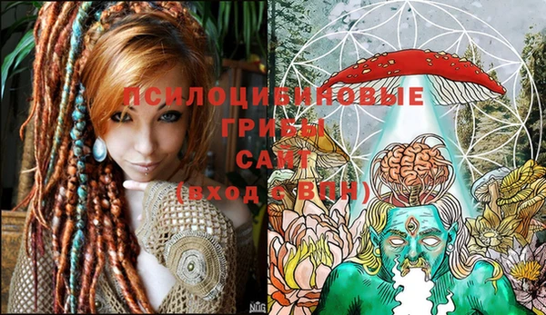 молекула духа Алексеевка