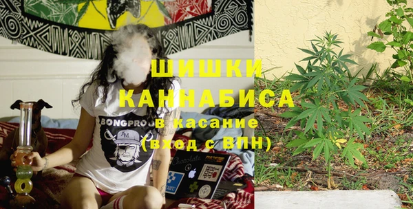 ешки Алзамай